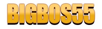 Logo BIGBOS55